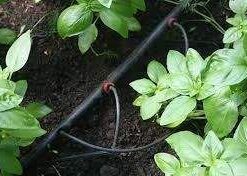 ong-tuoi-nho-giot-3-5mm-israren-voc302b-a6552