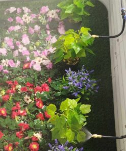 phun sương chinh goc