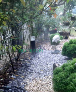 Đèn cột ánh sáng trắng