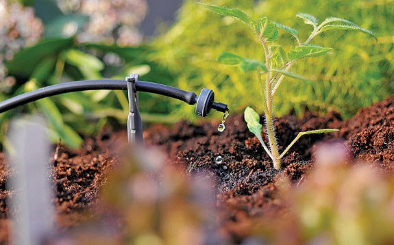 nhung-dieu-chua-tung-duoc-bat-mi-ve-bec-phun-nho-giot-3