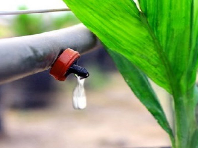 nhung-dieu-chua-tung-duoc-bat-mi-ve-bec-phun-nho-giot-1